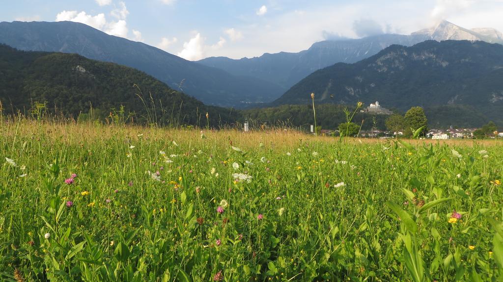 Appartamento Hisa Lescer Kobarid Esterno foto